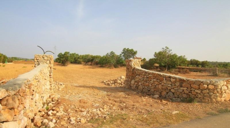 Balearic Islands - Manacor - 13800m2
