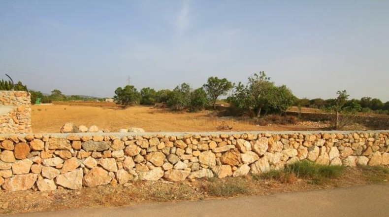 Balearic Islands - Manacor - 13800m2