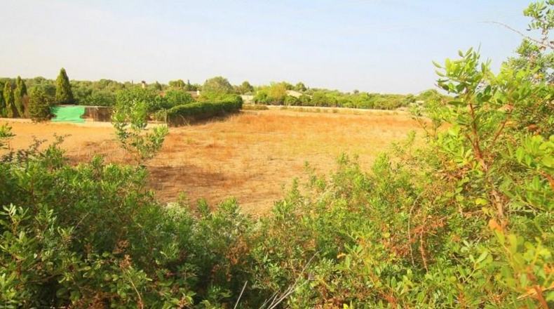 Balearic Islands - Manacor - 13800m2