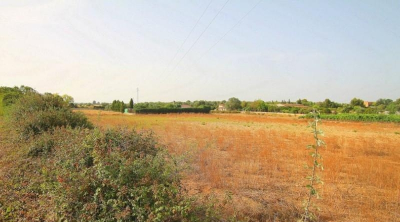 Balearic Islands - Manacor - 13800m2