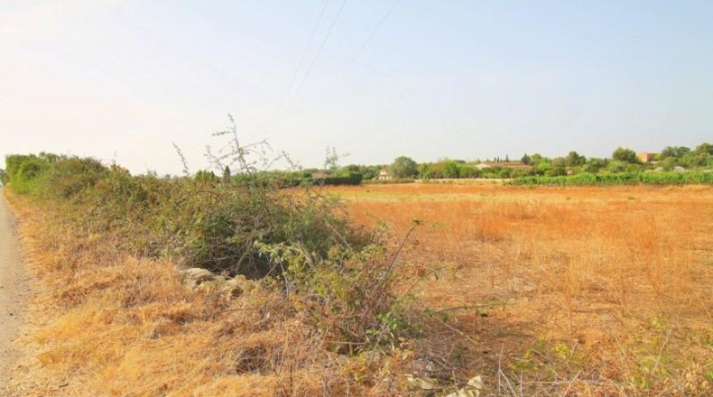 Balearic Islands - Manacor - 13800m2