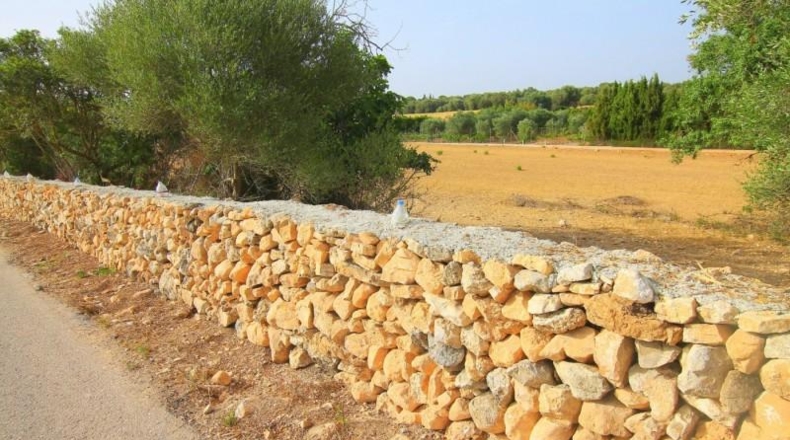 Balearic Islands - Manacor - 13800m2