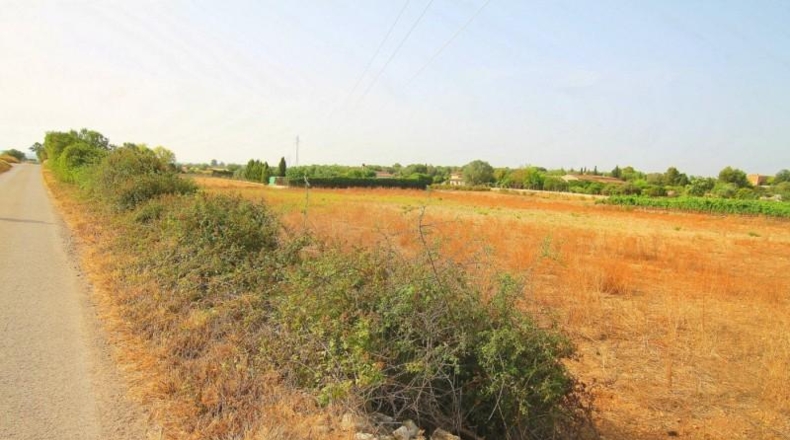 Balearic Islands - Manacor - 13800m2