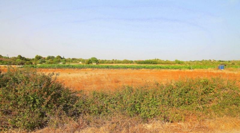 Balearic Islands - Manacor - 13800m2
