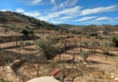 Casa amb terreny en venda a la España, Lubrín, ref.: TR367192 foto