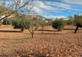 Casa amb terreny en venda a la España, Lubrín, ref.: TR367192 foto
