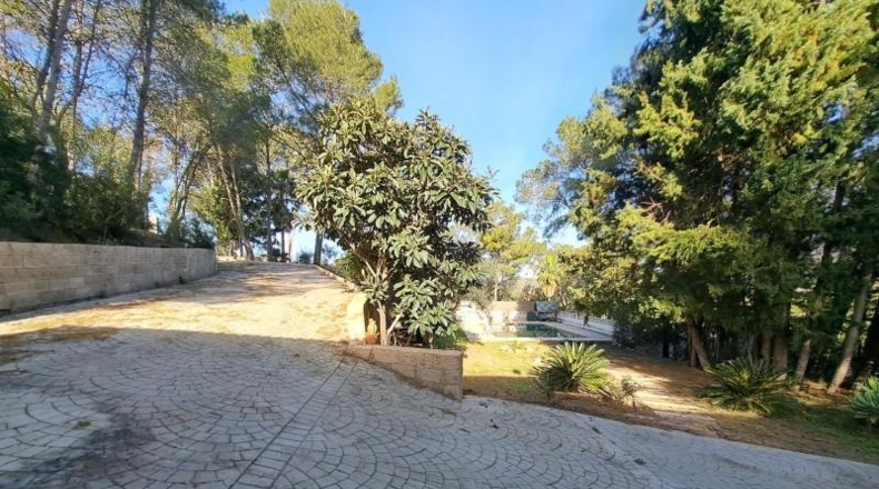 Валенсия - Alcira - 1800m2