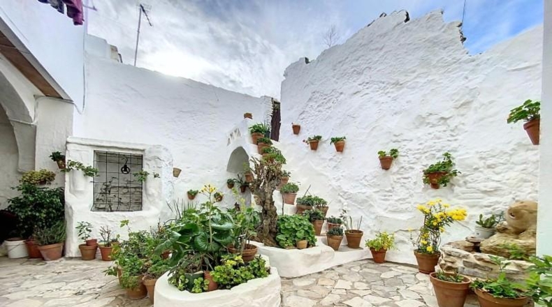 Cádiz - Medina Sidonia - 254m2