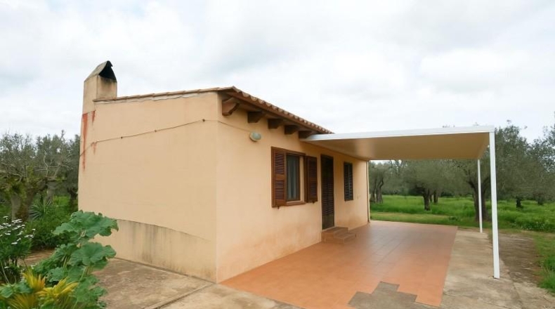 Balearic Islands - Santa Eugènia - 3823m2