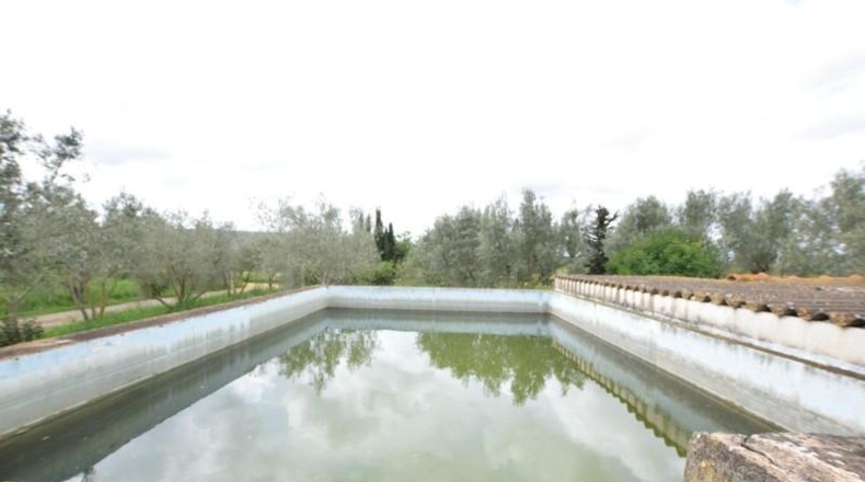 Balearic Islands - Santa Eugènia - 3823m2