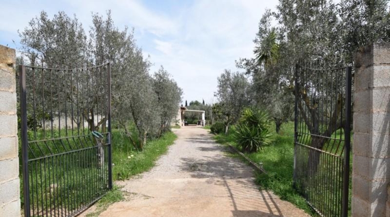 Balearic Islands - Santa Eugènia - 3823m2