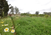 Загородный дом с участком на продажу в городе Santa Eugènia Фото