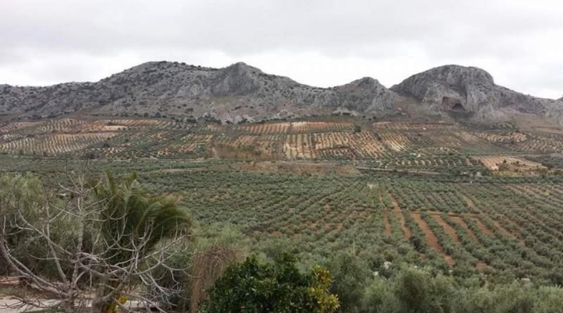 Málaga - Archidona - 3m2