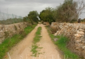 Non-developable land for sale on España, Porreras, ref: TR246292 photo