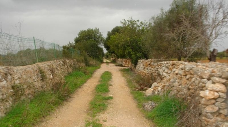 Balearic Islands - Porreras - 16426m2