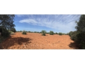 Non-developable land for sale on España, Porreras, ref: TR246292 photo