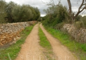 Non-developable land for sale on España, Porreras, ref: TR246292 photo