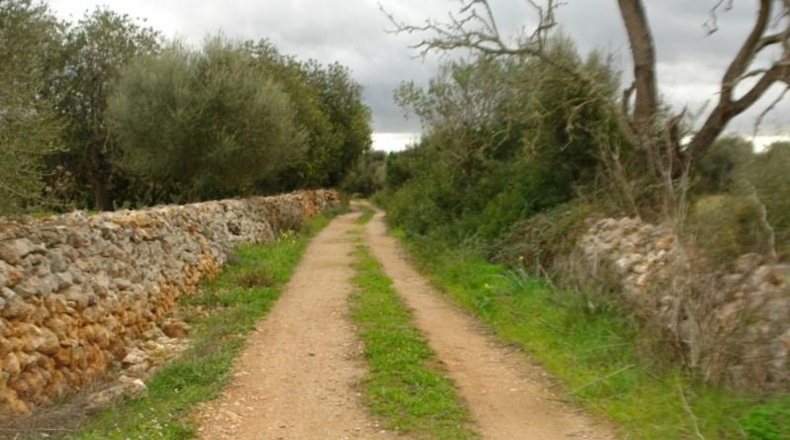 Balearic Islands - Porreras - 16426m2