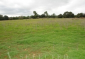 Non-developable land for sale on España, Porreras, ref: TR246292 photo