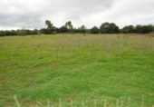 Non-developable land for sale on España, Porreras, ref: TR246292 photo
