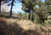 Sòl urbà en venda a la España, Sant Pol de Mar, ref.: TR114938 foto