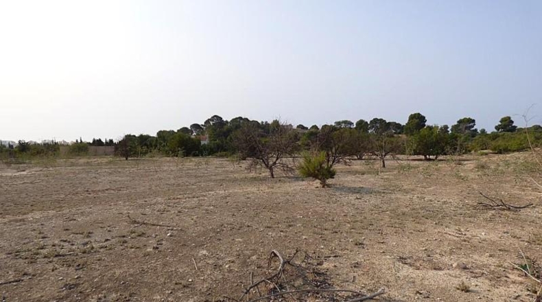 Alicante - la Vila Joiosa - 47000m2