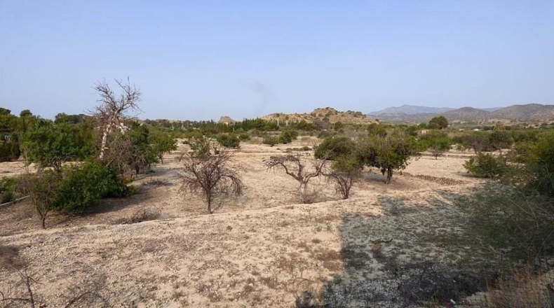 Alicante - la Vila Joiosa - 47000m2