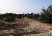 Terreny no urbanitzable en venda a la España, la Vila Joiosa, ref.: TR363323 foto