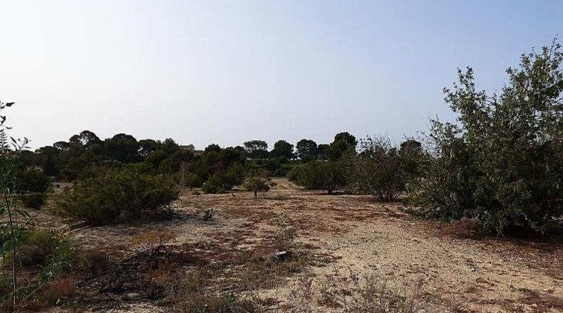 Alicante - la Vila Joiosa - 47000m2