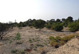 la Vila Joiosa 47000&nbsp;m² 