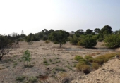 Terreny no urbanitzable en venda a la España, la Vila Joiosa, ref.: TR363323 foto