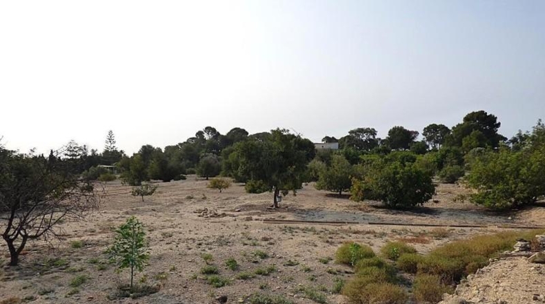 Alicante - la Vila Joiosa - 47000m2