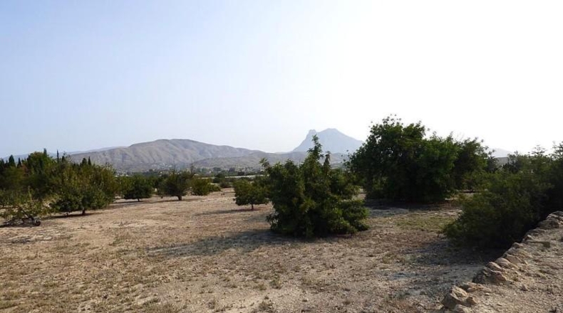 Alicante - la Vila Joiosa - 47000m2