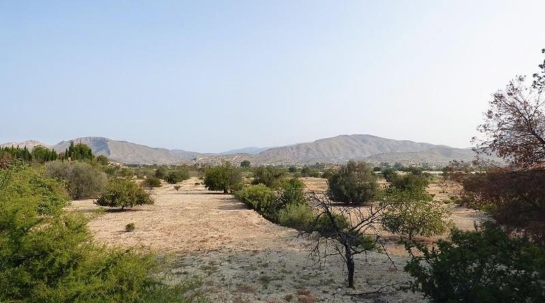 Alicante - la Vila Joiosa - 47000m2