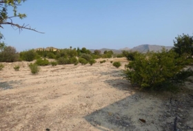 la Vila Joiosa 47000&nbsp;m² 