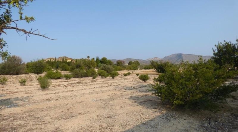 Alicante - la Vila Joiosa - 47000m2