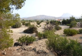 la Vila Joiosa 47000&nbsp;m² 