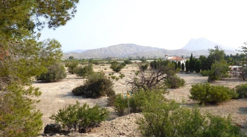 Alicante - la Vila Joiosa - 47000m2