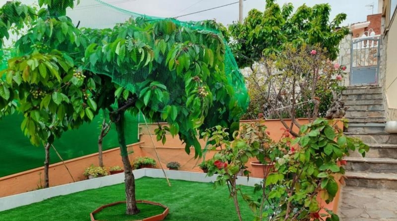 Barcelona - Tordera - 800m2