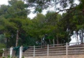 Parcela urbanizable en venta en la España, Cunit, ref: TR269815 foto