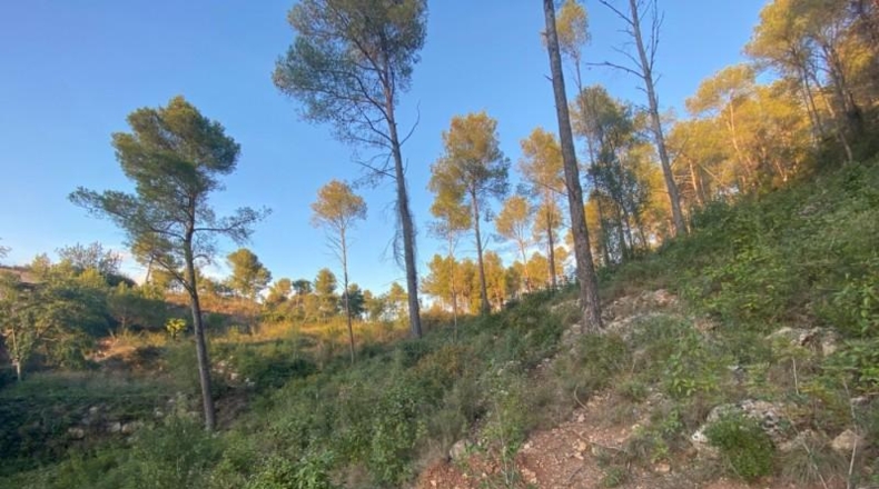 Barcelona - Vallirana - 2380m2