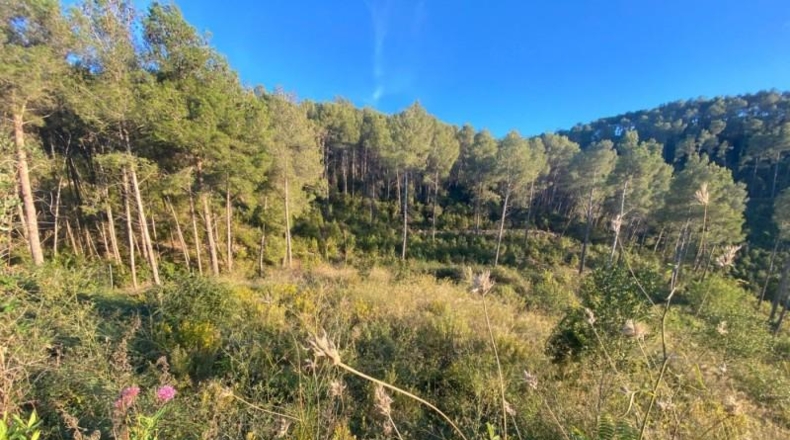 Barcelona - Vallirana - 2380m2