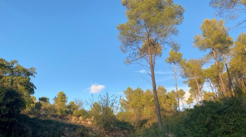 Barcelona - Vallirana - 2380m2