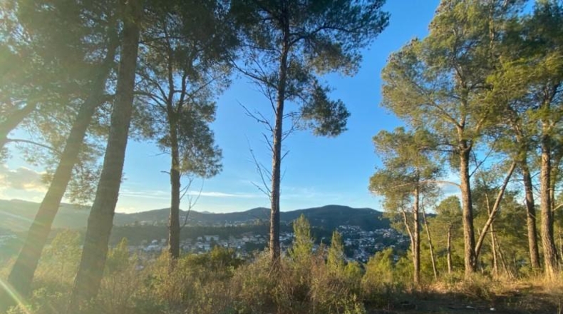 Barcelona - Vallirana - 2380m2