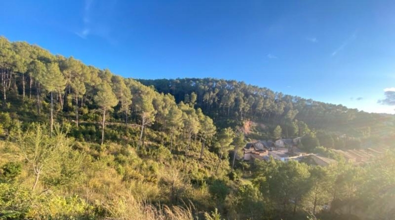 Barcelona - Vallirana - 2380m2