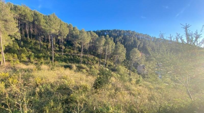 Barcelona - Vallirana - 2380m2