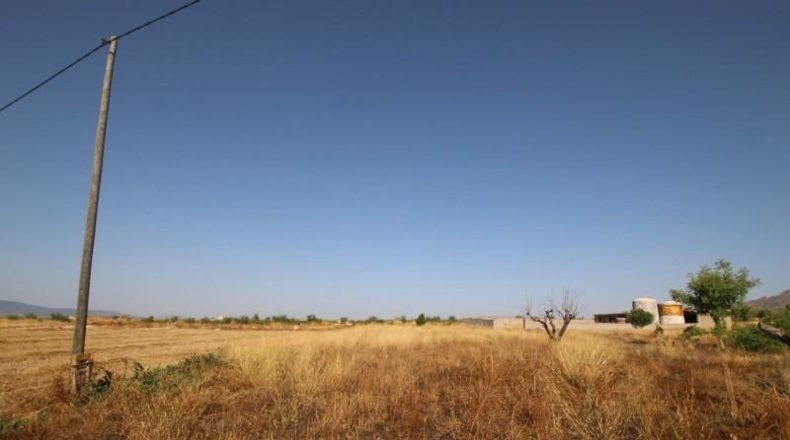 Murcia - Jumilla - 40000m2