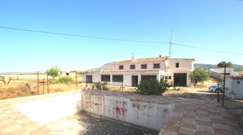 Murcia - Jumilla - 40000m2