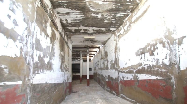 Murcia - Jumilla - 40000m2