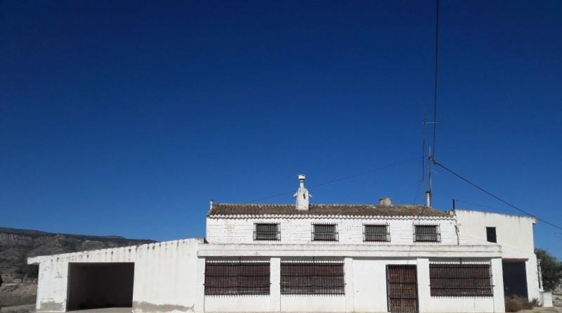 Murcia - Jumilla - 40000m2